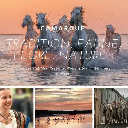 Port Et Littoral * Proche * * Loggia