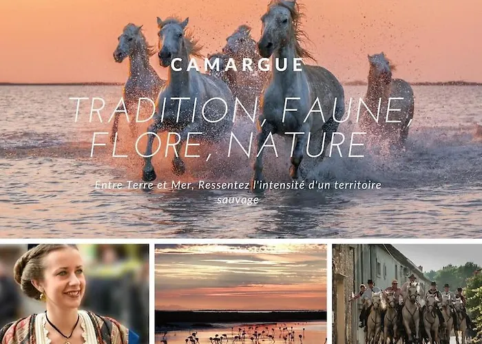 Port Et Littoral * Proche * * Loggia